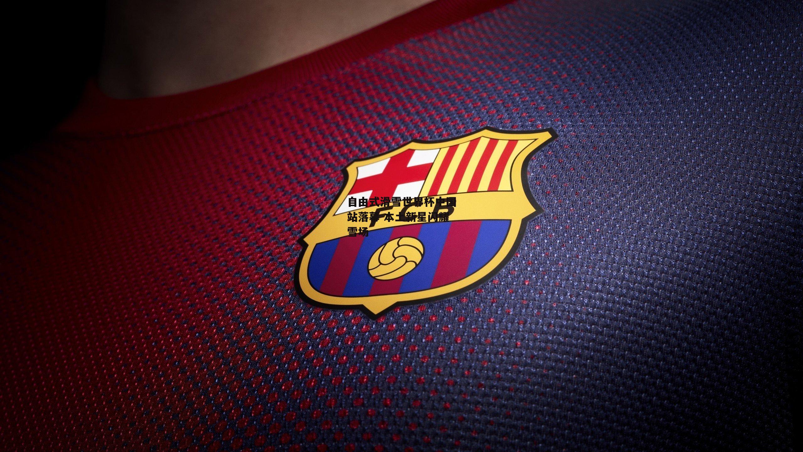 自由式滑雪世界杯中国站落幕 本土新星闪耀雪场