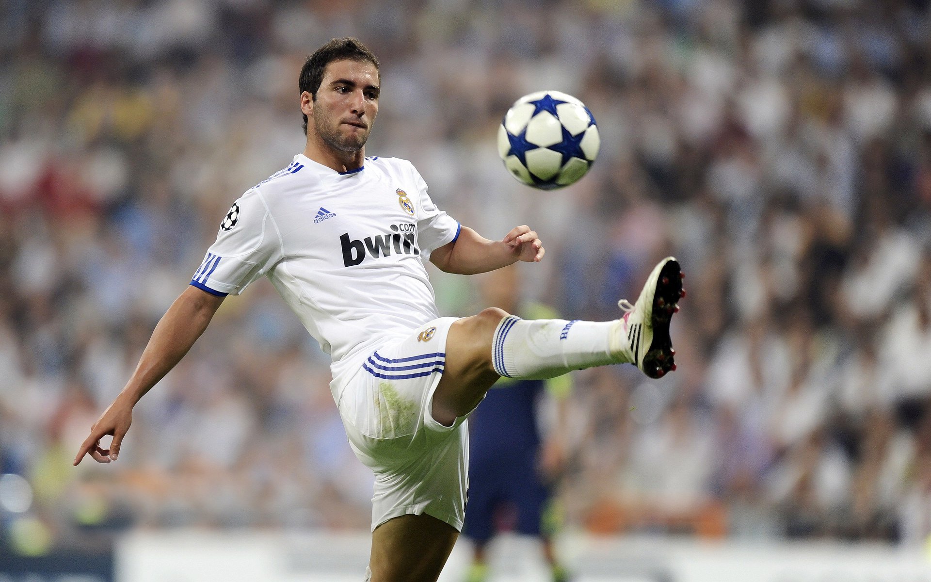 德甲联赛激战正酣,拜仁慕尼黑紧追勒沃库森,保级大战白热化