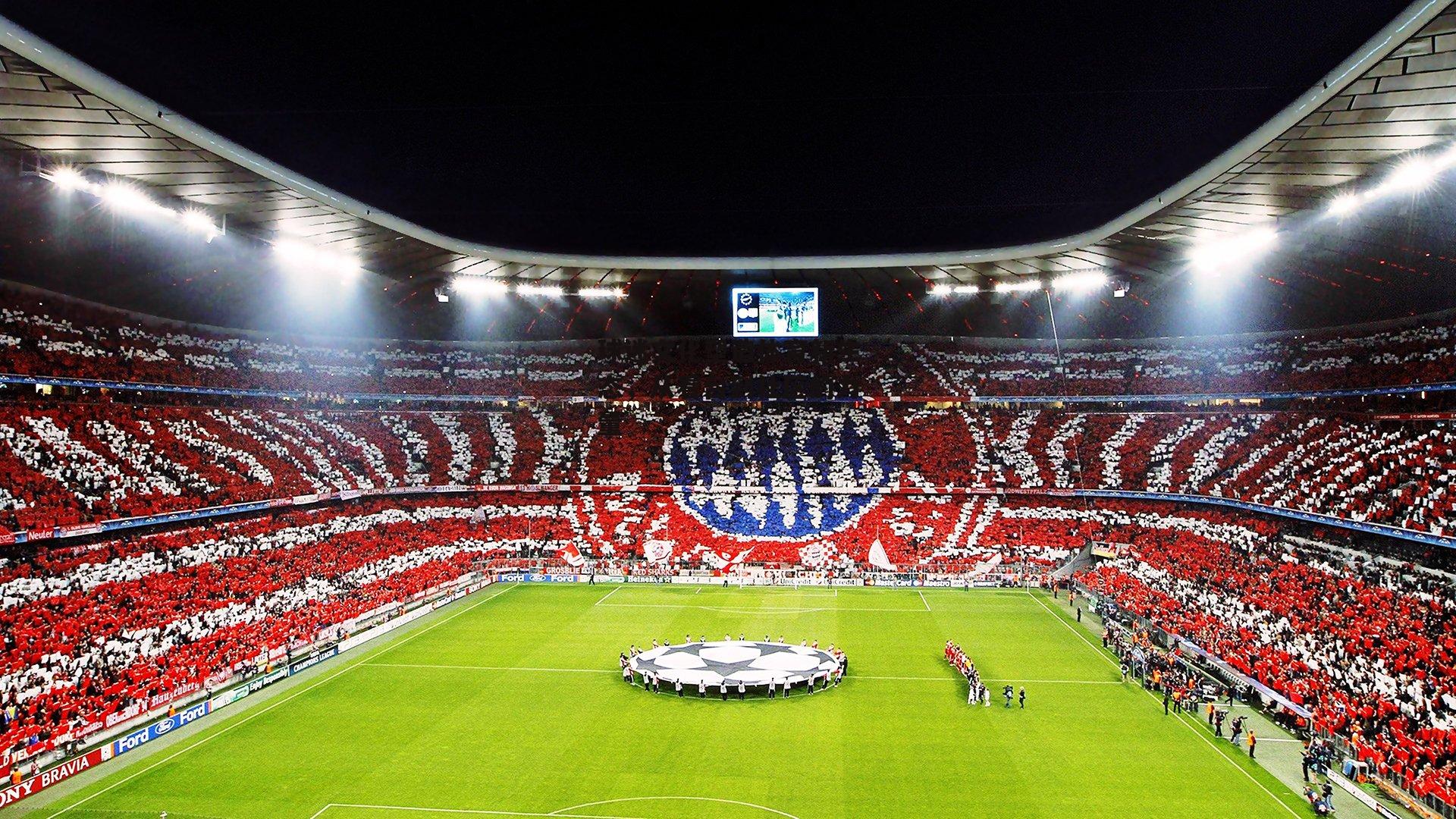 球迷文化塑造体育新生态,从看台到社区的力量