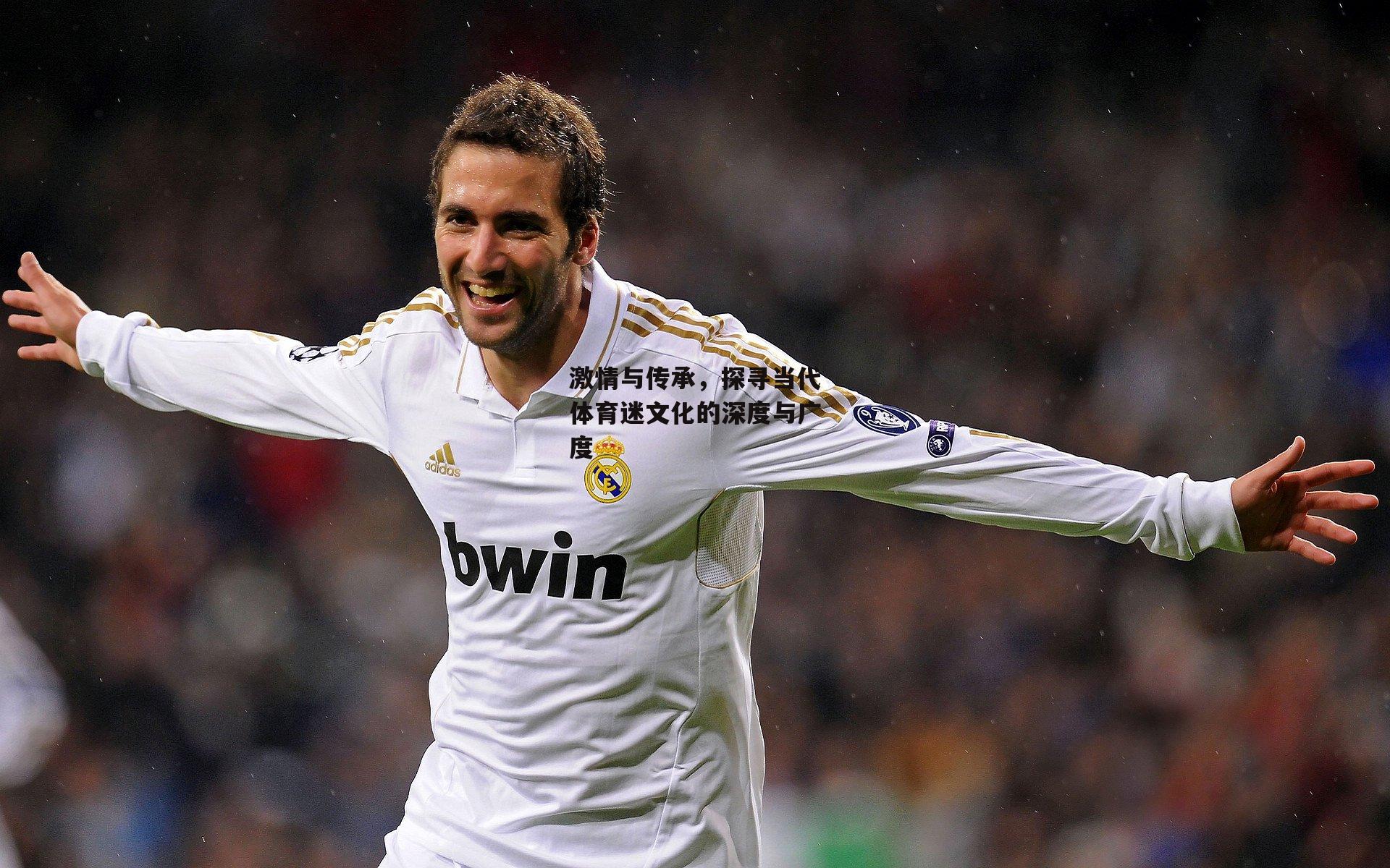 激情与传承,探寻当代体育迷文化的深度与广度