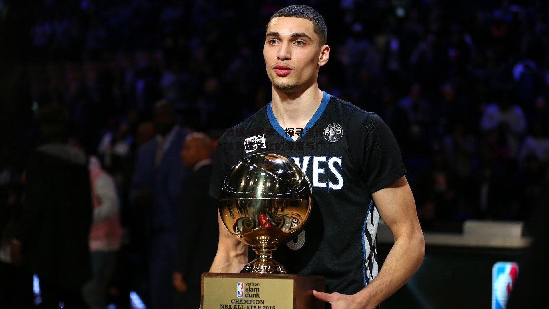 激情与传承,探寻当代体育迷文化的深度与广度